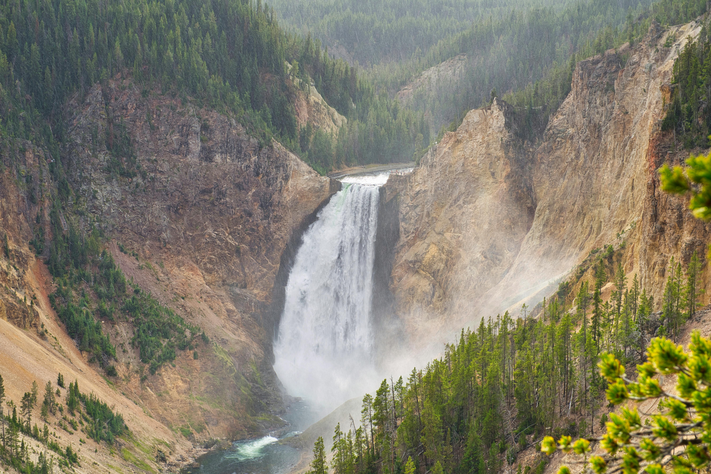 yellowstone national park, wyoming (4).webp